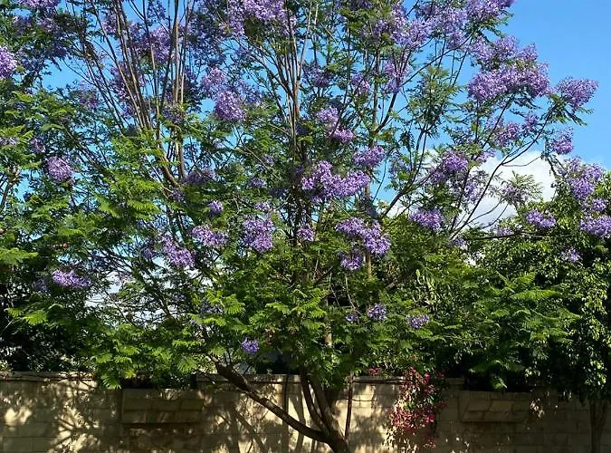 شقة Nostrana Village