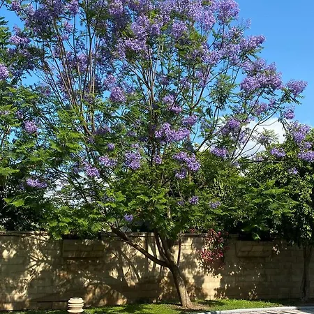 Apartman Nostrana Village